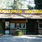Weltvogelpark Walsrode (5)