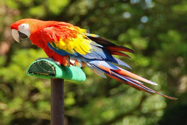 Weltvogelpark Walsrode