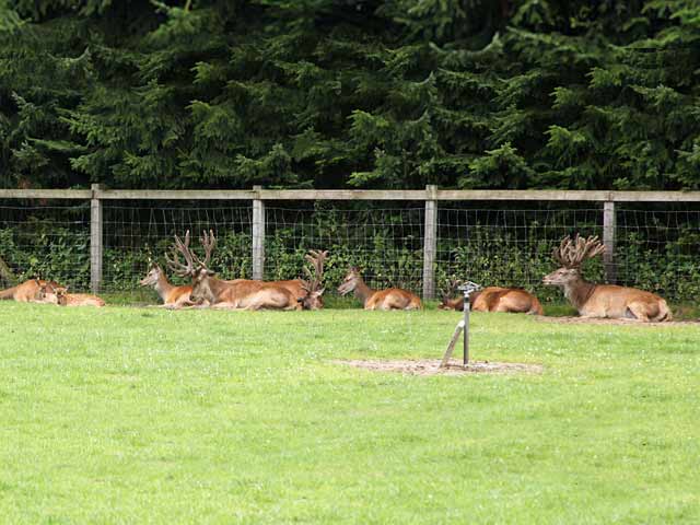 Wild- und Freizeitpark Ostittrum