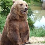 Wild- und Freizeitpark Westerwald (4)