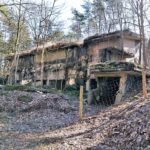 Ruinen Besenhorster Sandberge Ruinenwald Pulverfabrik Düneberg (7)