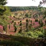 Totengrund Lüneburger Heide