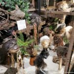 Harrys Hafenbasar und Museum (20)