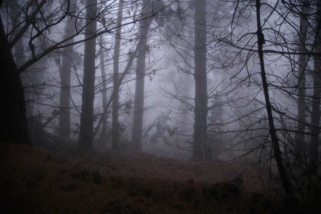 Das Monster von Morbach Das Monster von Morbach