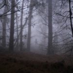 Das Morbach Monster