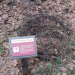 Gedenkweg Kuno Waldwerk (3)