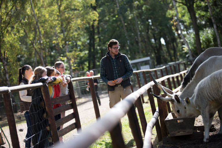 Hochwildpark Rheinland