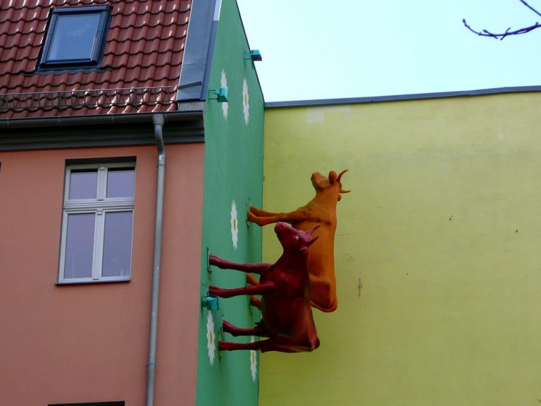 Rückkehr der Kühe Berlin