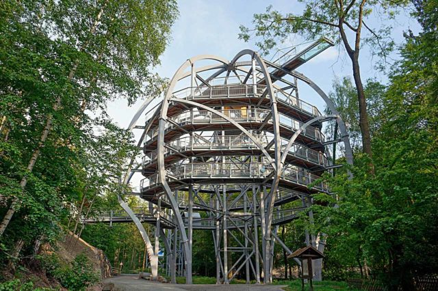 Baumwipfelpfad Harz Bad Harzburg