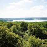 Baumkronenpfad Ivenacker Eichen (9)